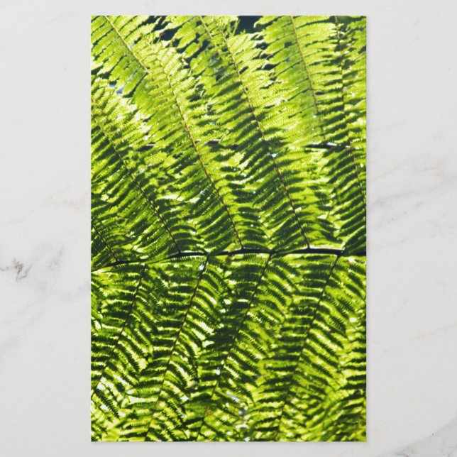 Flora Dominica 5 (Vorderseite)