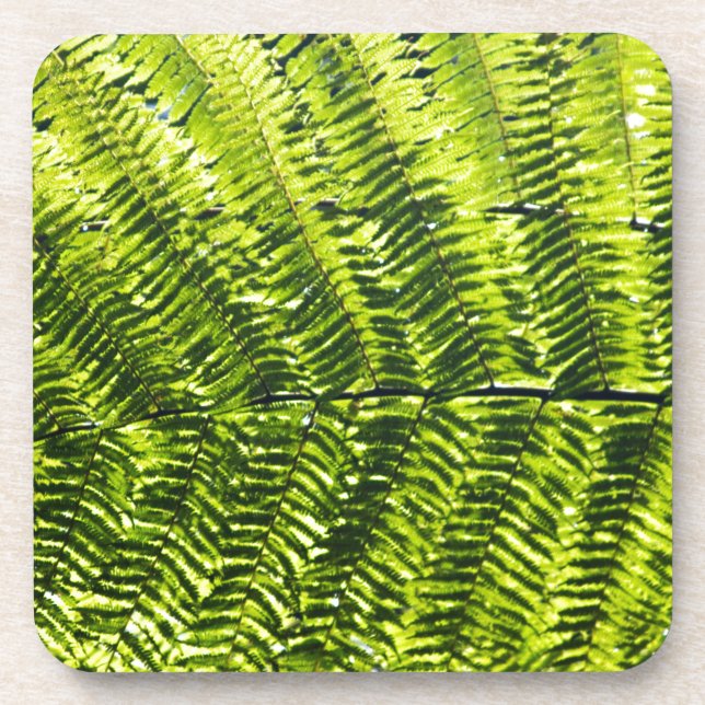 Flora Dominica 5 Getränkeuntersetzer (Vorderseite)