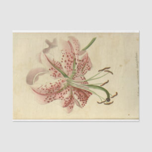 Flora Ephemera Decoupage Rosa Blume Seidenpapier