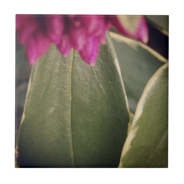 Flora-Fliese Daphne Fliese (Vorderseite)