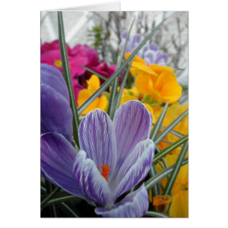 Flora für Frühling #3