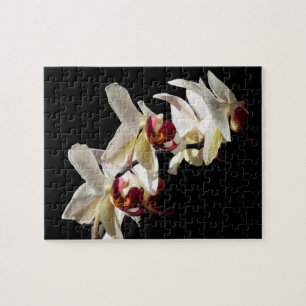 Flora Highlights Weißer Phalaenopsis Orchideen Puzzle