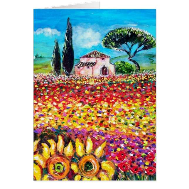 FLORA IN DER TUSKANIE/ Felder, Pfeffer und Sonnenb (Vorne)