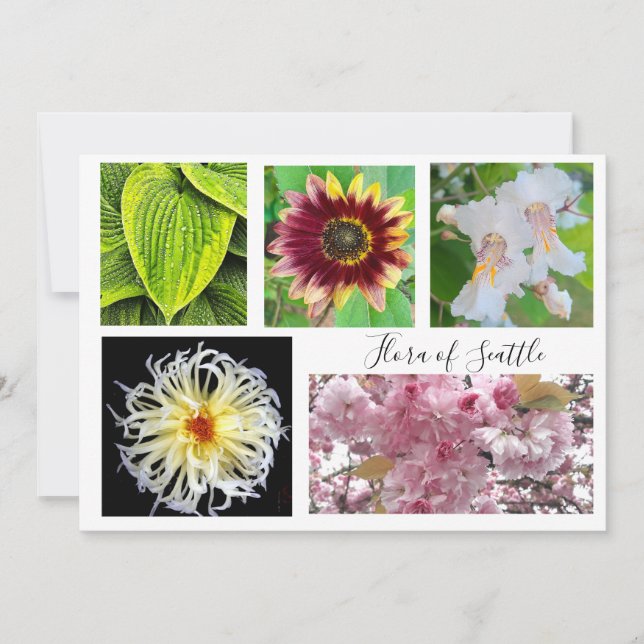 flora of Seattle Einladung (Vorderseite)