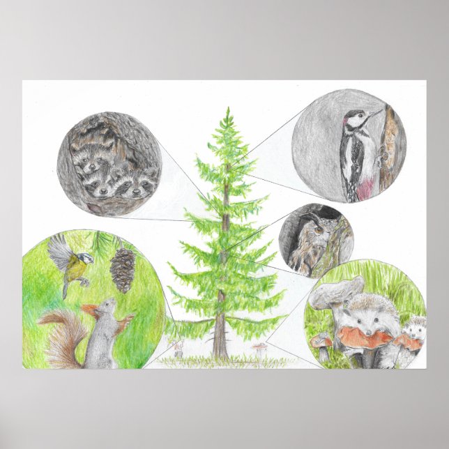 Flora und Fauna Poster (Vorne)