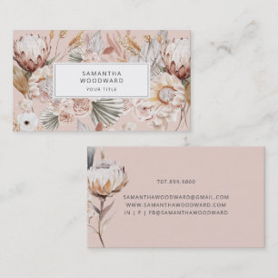 Flora und Fauna Terracotta auf dem Monte Tamaro Visitenkarte