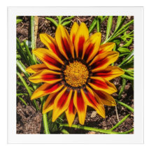 Floral 1 Acryl Wandkunst