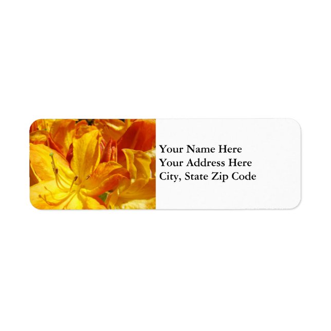 Floral Address Labels Orange Rhododendron Blume (Vorne)