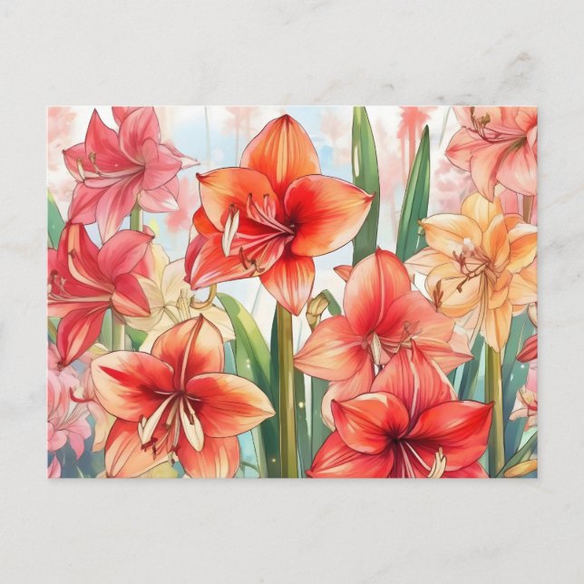 Floral Amaryllis Garden Postkarte (Vorderseite)
