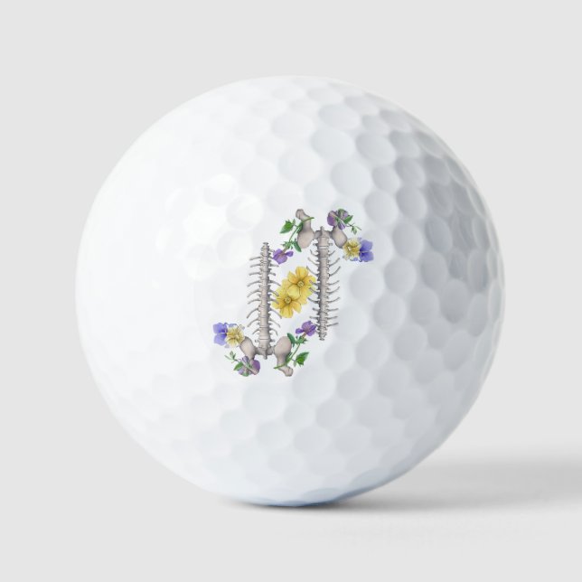 Floral Anatomy - Vertebrae, Hip Bone Golfball (Vorderseite)