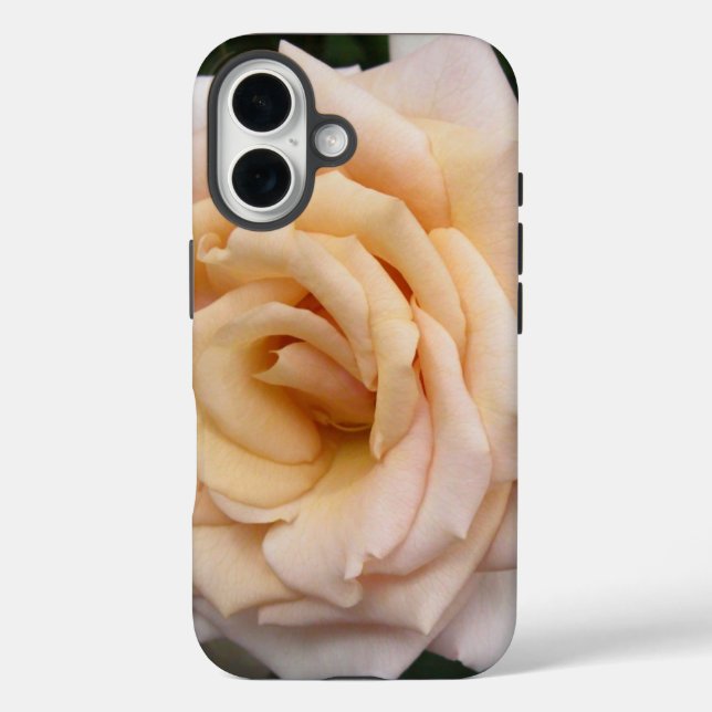 Floral Blackberry fett mit Romantischer Rose Case-Mate iPhone Hülle (Rückseite)