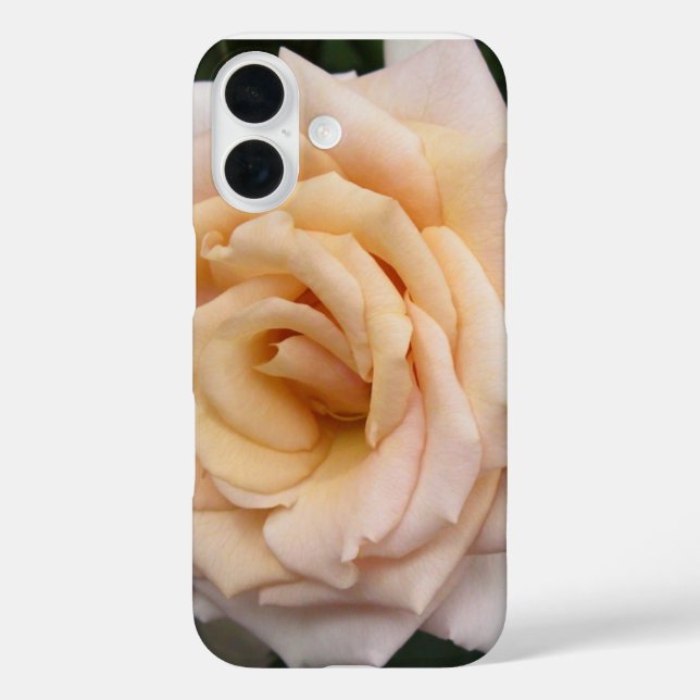 Floral Blackberry fett mit Romantischer Rose Case-Mate iPhone Hülle (Rückseite)
