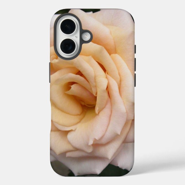 Floral Blackberry fett mit Romantischer Rose Case-Mate iPhone Hülle (Rückseite)