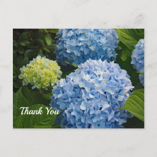 Floral Blue Hydrangea Foto Vielen Dank Postkarte
