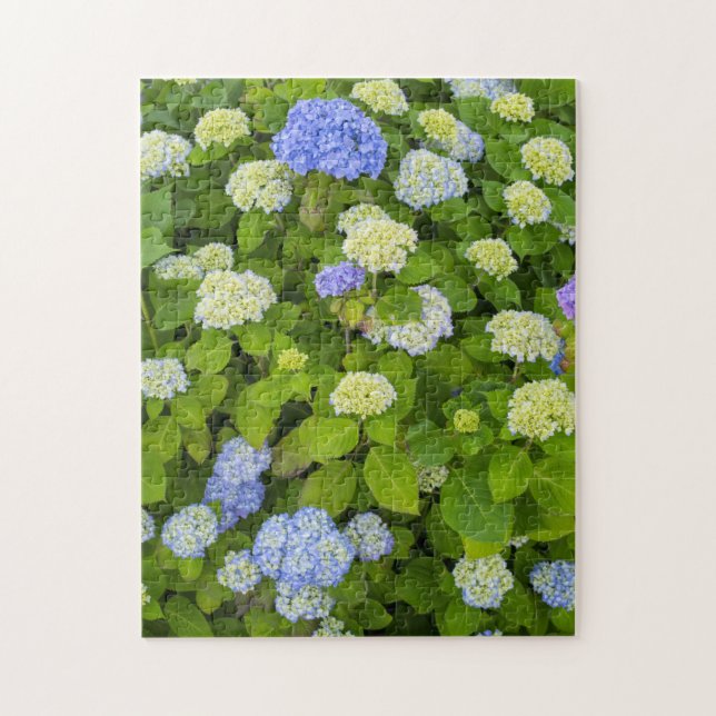Floral Blue Hydrangea Nature Foto Puzzle (Vertikal)