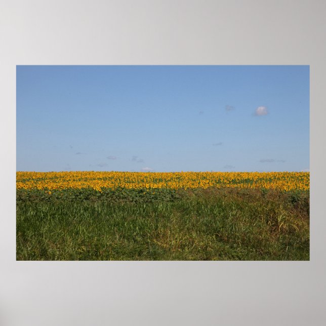 Floral Blur Poster (Vorne)