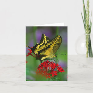 Floral Butterfly Karte