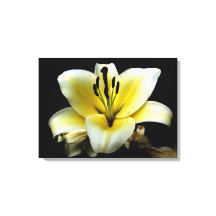 Floral Custom 24 X 18 Leinwand