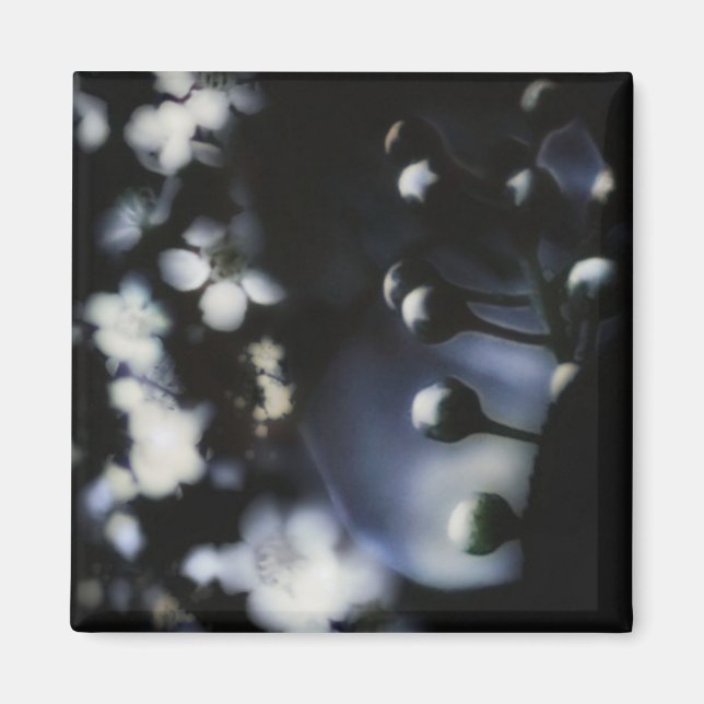 Floral Deep Magnet (Vorne)