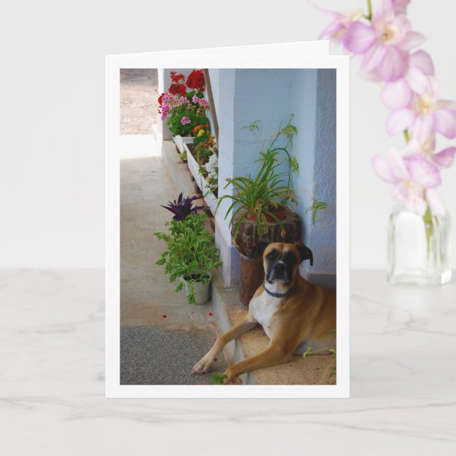 Floral Dog Portrait Karte (Orchidee)