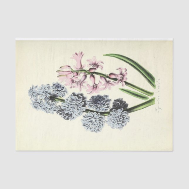 Floral Ephemera Decoupage Blau und Rosa Seidenpapier (Vorderseite)