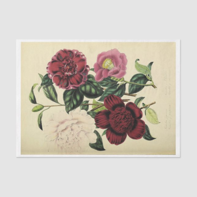 Floral Ephemera Decoupage Burgundy Pink Blush Seidenpapier (Vorderseite)