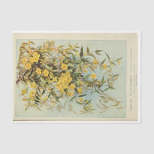 Floral Ephemera Decoupage Jasmine Sunflowers Seidenpapier