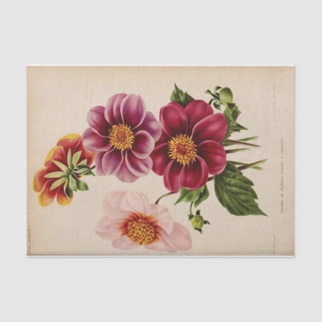 Floral Ephemera Decoupage Pink Blume Seidenpapier (Vorderseite)