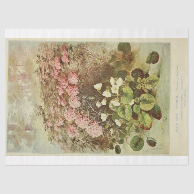 Floral Ephemera Decoupage Pink Hydrangeas Seidenpapier (Vorderseite)