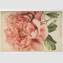 Floral Ephemera Decoupage Pink Peony