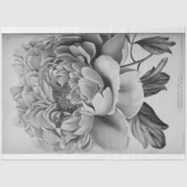 Floral Ephemera Decoupage Schwarz-weiß Peony Seidenpapier