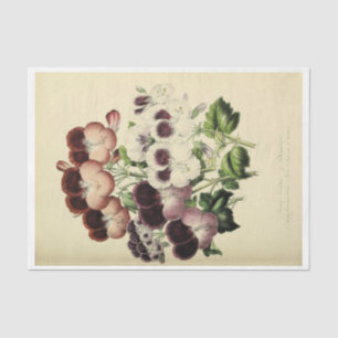 Floral Ephemere Decoupage Lila weiße Stiefmütterch Seidenpapier