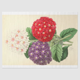 Floral Ephemere Decoupage Pink Lila Seidenpapier