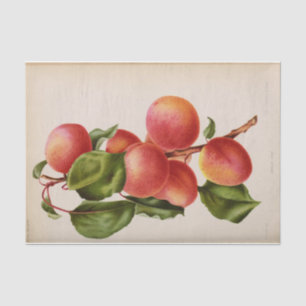 Floral Ephemere Decoupage Pink Peach Seidenpapier