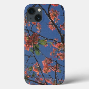 Floral Fabric, Blue iPhone 13 Hülle