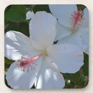 Floral Fragrance Cork Untersetzer