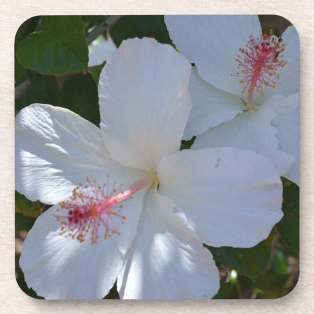 Floral Fragrance Cork Untersetzer (Vorderseite)