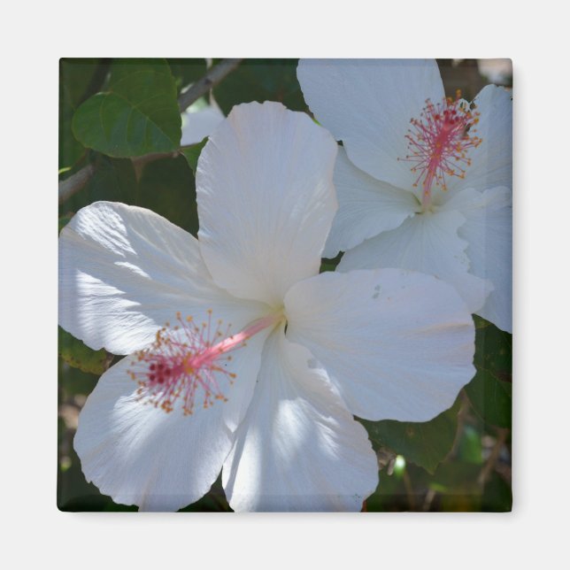 Floral Fragrance Magnet (Vorne)