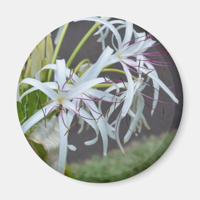 Floral Fragrance Magnet (Vorne)
