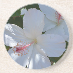 Floral Fragrance Sandstone Untersetzer