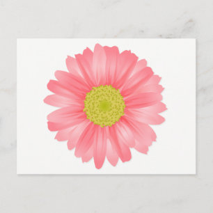 Floral Gerbera Daisy Pink & Gelbe Blume Postkarte