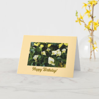 Floral, Happy Birthday Card Karte