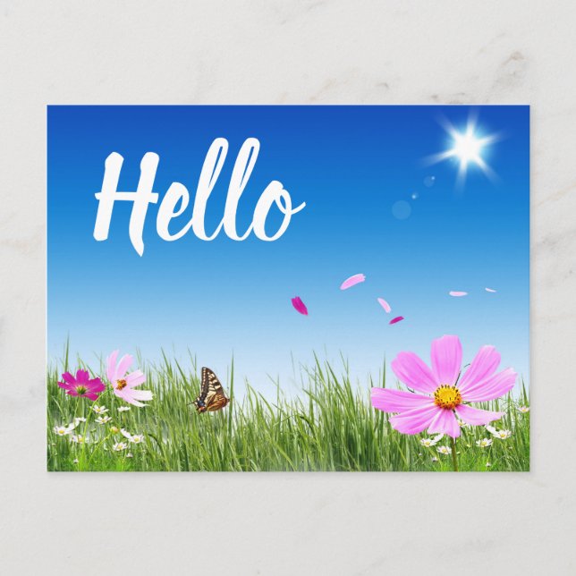 Floral Hello Daisy Butterfly Wildblumen Freunde Postkarte (Vorderseite)