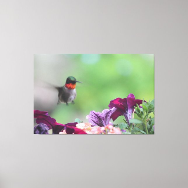 Floral Hummingbird Leinwand Art (Vorderseite)