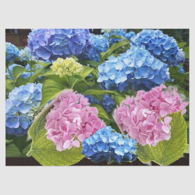 Floral Hydrangea Pink Blue Decoupage Craft Seidenpapier (Vorderseite)