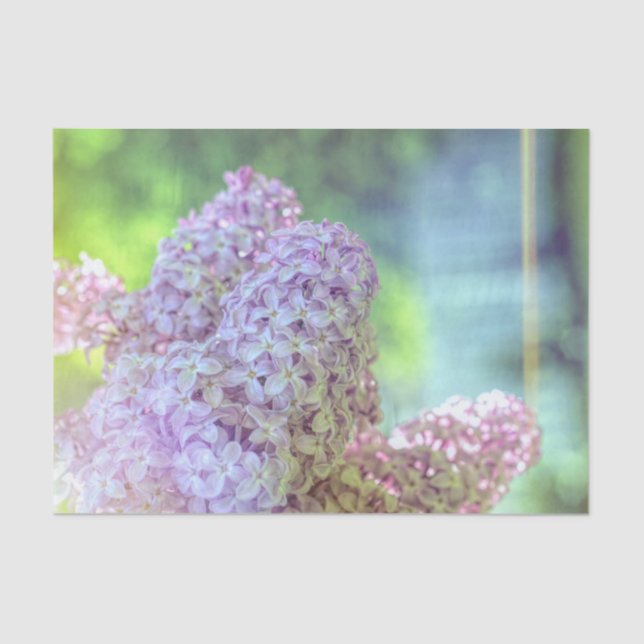 Floral Lila Lilac Country Art Design Seidenpapier (Vorderseite)