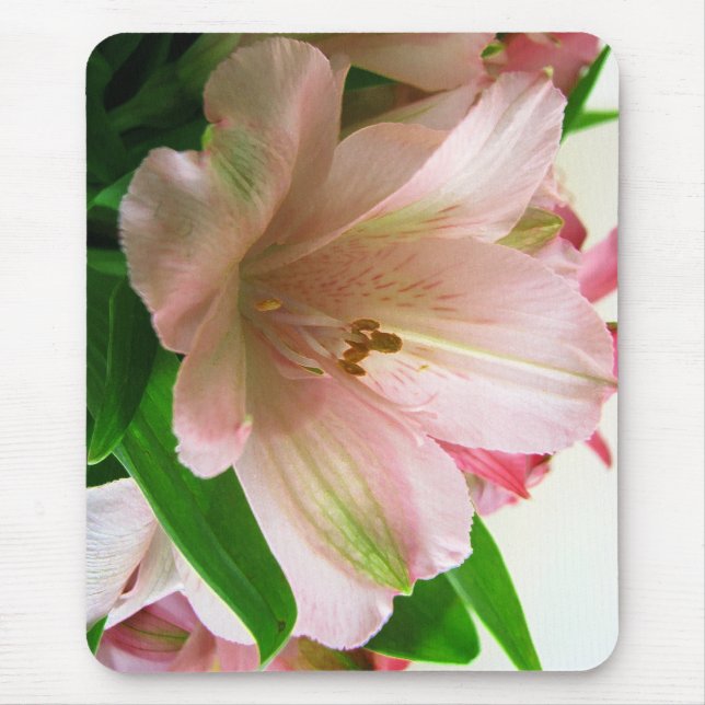floral mousepad (Vorne)
