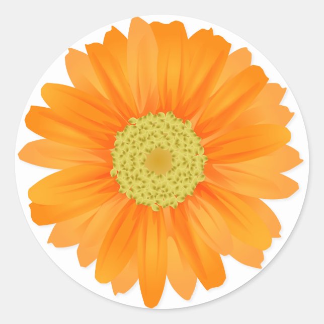 Floral Orange Gerbera Daisy Blume Runder Aufkleber (Vorderseite)