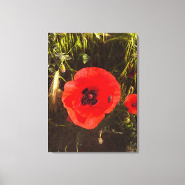 Floral Poppy Dreamer – Botanical Fantasy Art Leinwanddruck