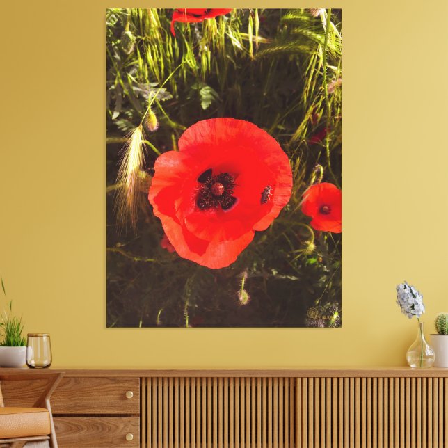 Floral Poppy Dreamer – Botanical Fantasy Art  Leinwanddruck (Insitu (Wohnzimmer))